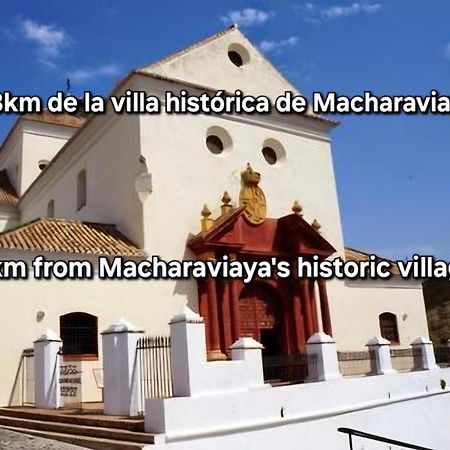 El Maurel Villa Malaga Exterior photo